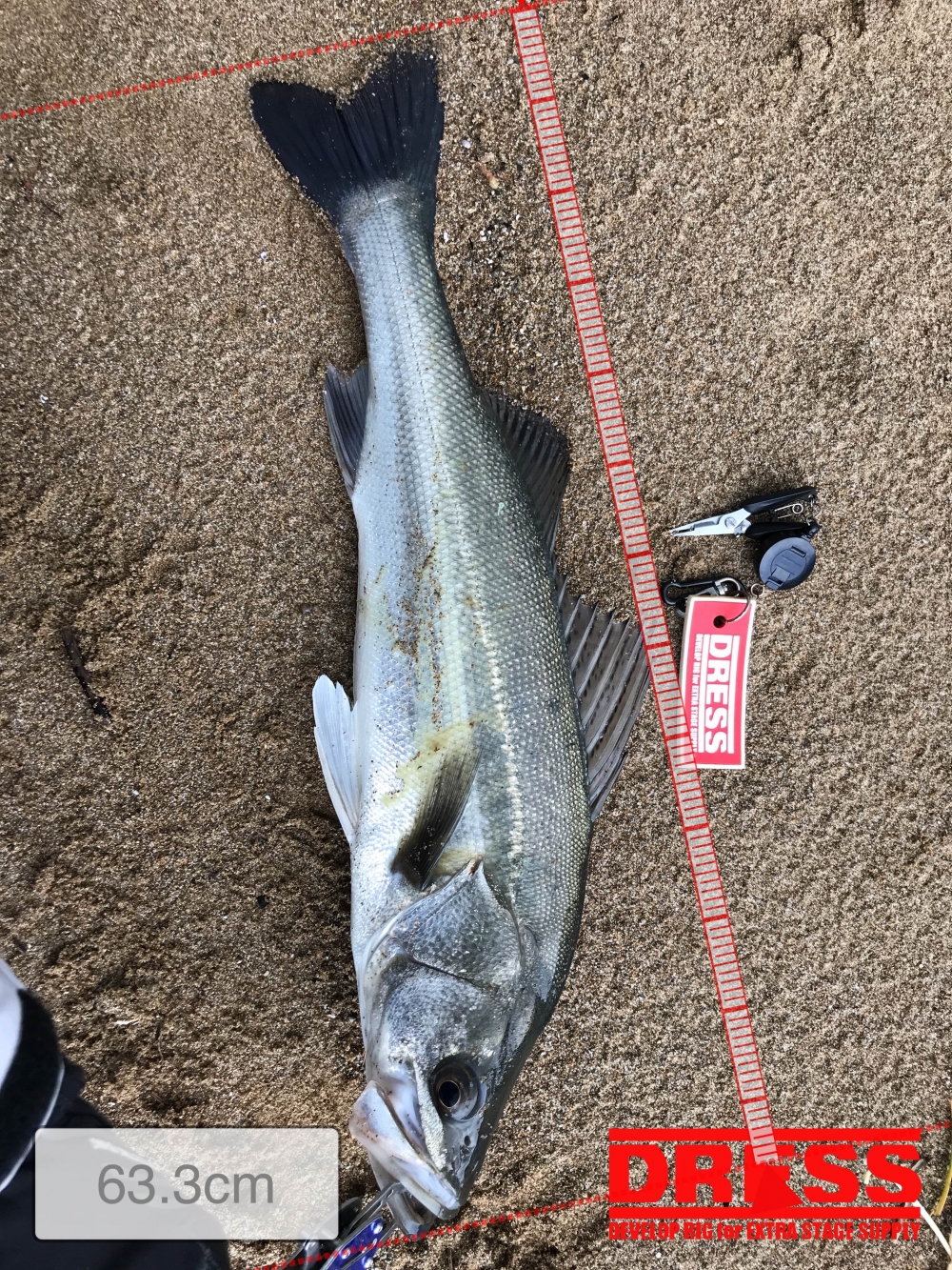 0_5514_666fa699331cede4ac9b8d4a5212d9b8