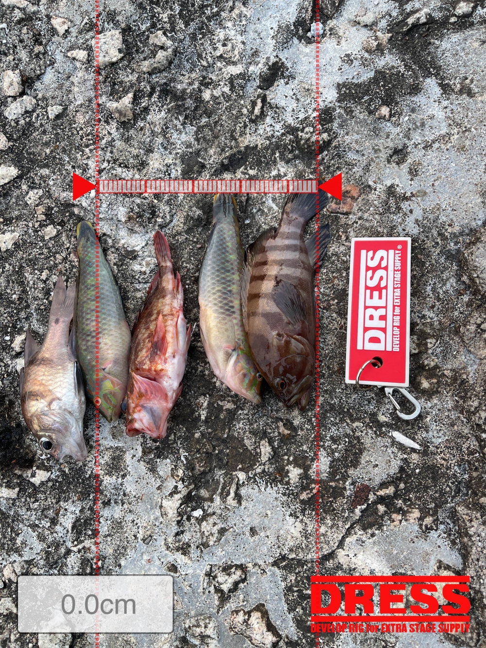 0_5516_41f679e75fcde04863f867a3c3387a58