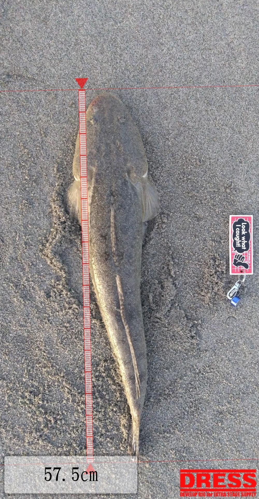 0_5517_0534d15d775f76798d0174117b507636