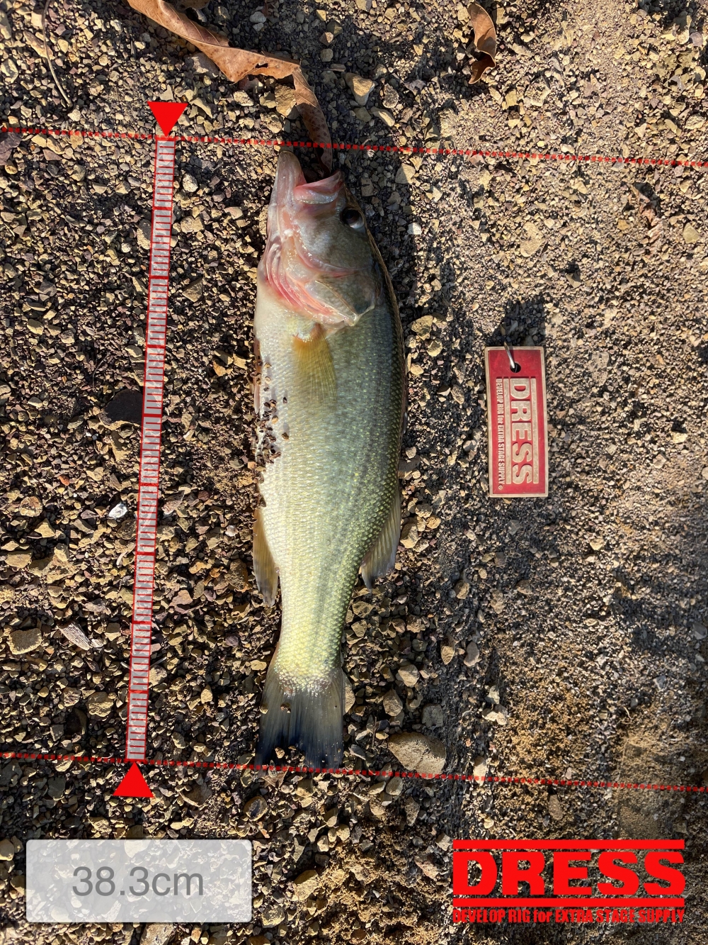 0_5519_af77edbfd4728edc1035aaddaab9f427