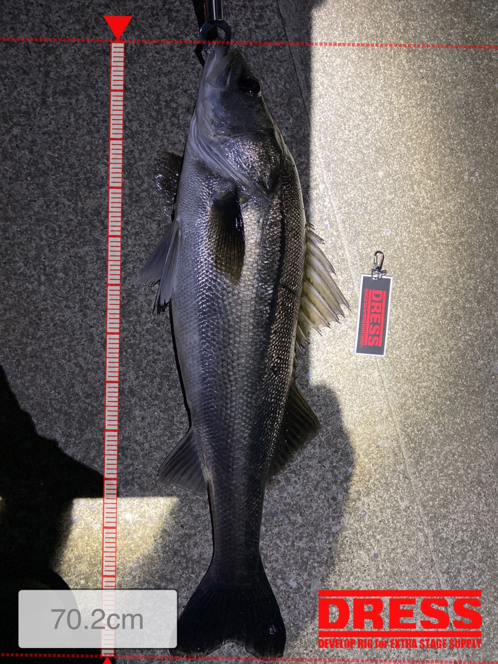 0_5520_80ddbf91c430d5219ecb6053a7b3e75a