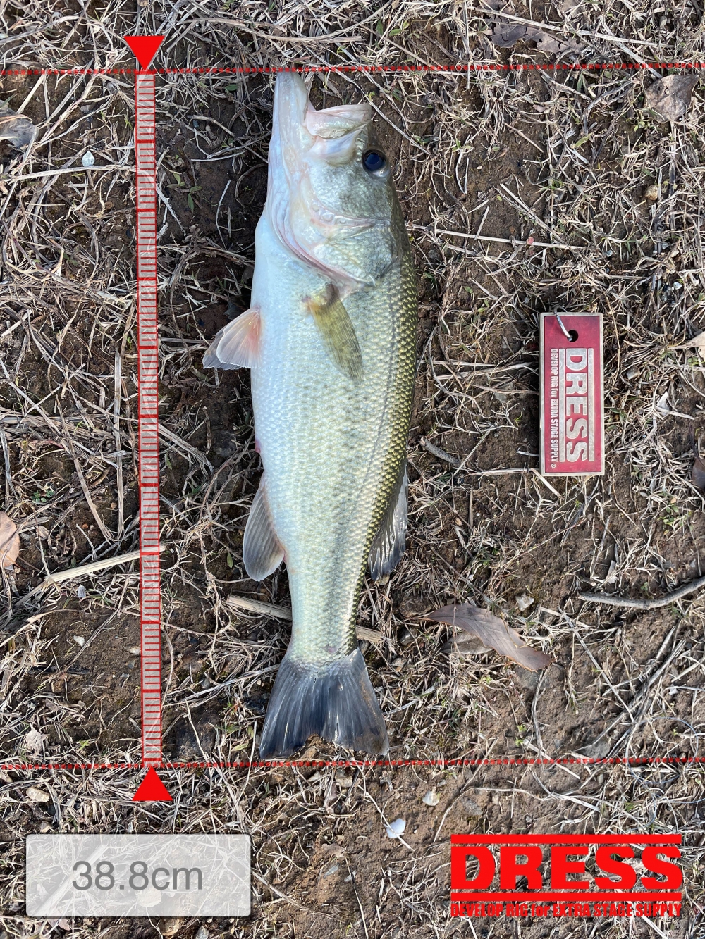 0_5523_6c6ed1e6babb9fbe409e261d0d211c78