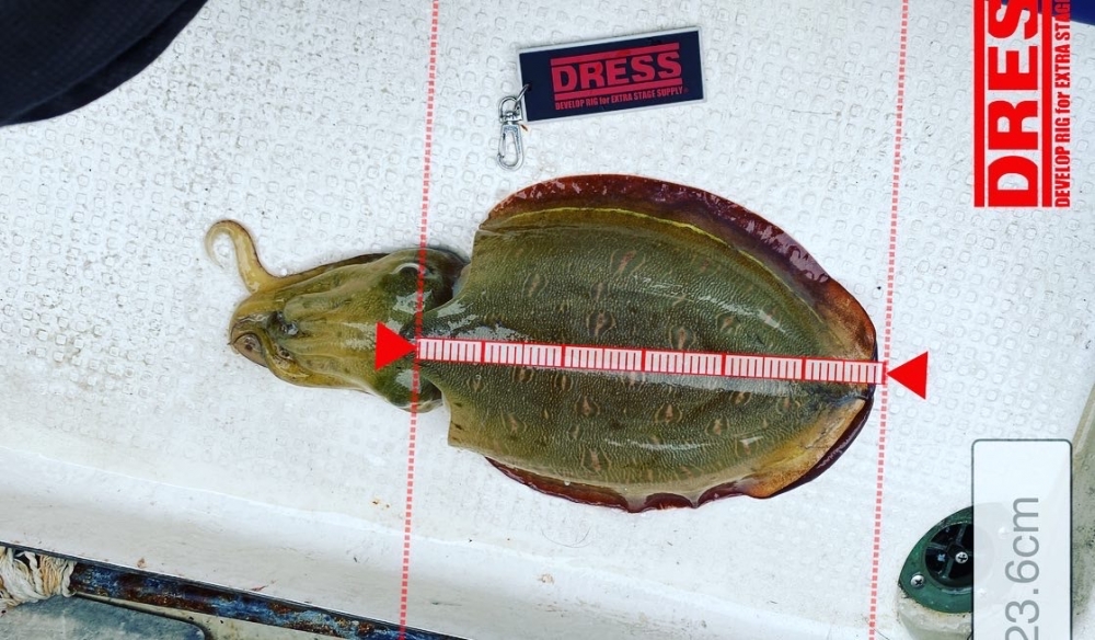 0_5524_f8ffb185ec351e599a6618d7331916c5