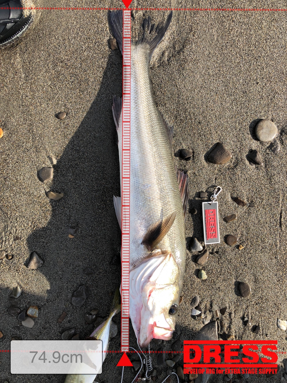 0_5526_6ac3f5eeb1522f49af053a679cd59f18