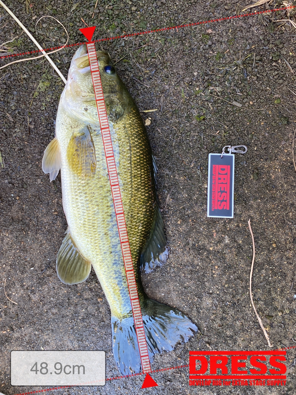 0_5527_3f47f520178555686128e3074fbd7d9b