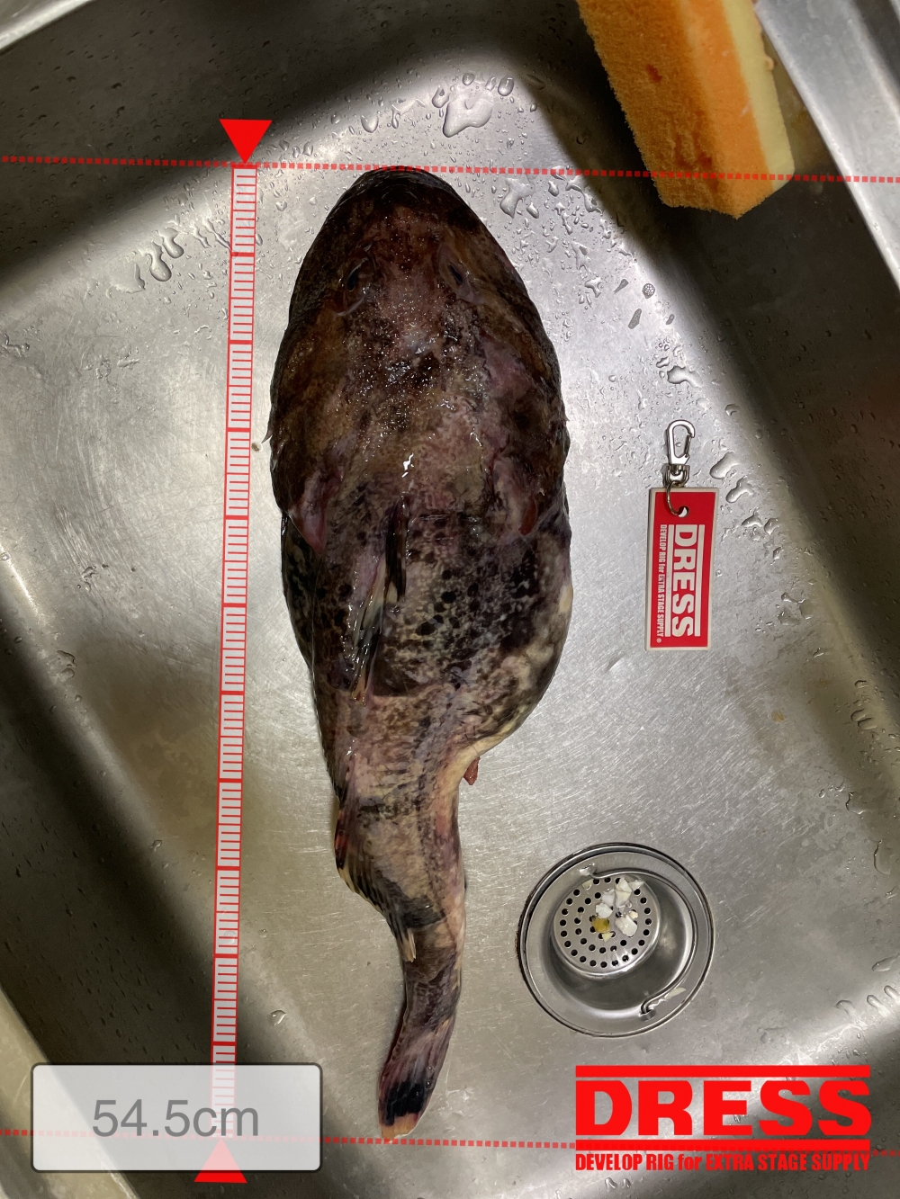 0_5528_962091f0d6ffccc2a9729697293b6c56