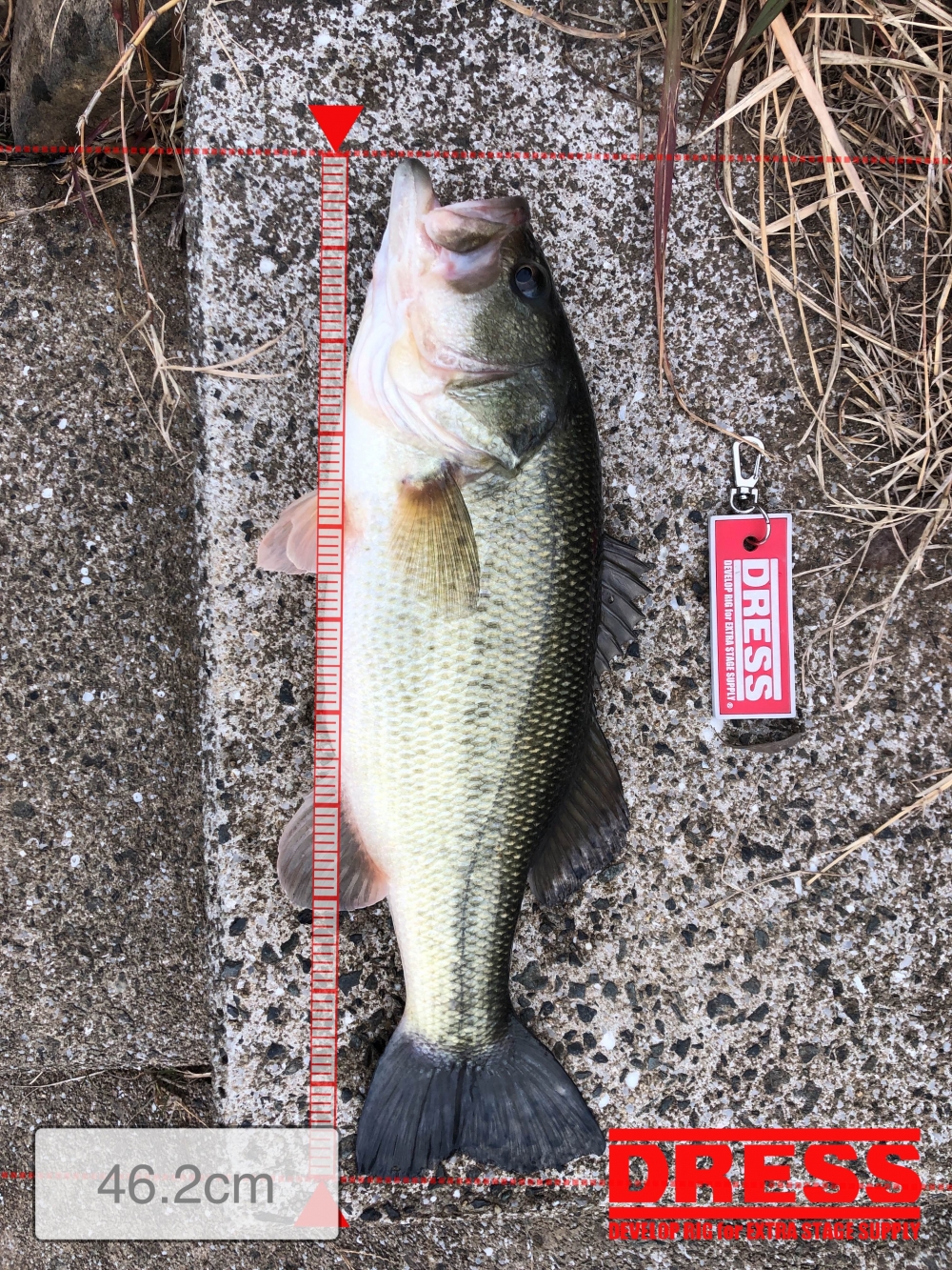 0_5538_fef8d0f12d88fb4922debff80368d855