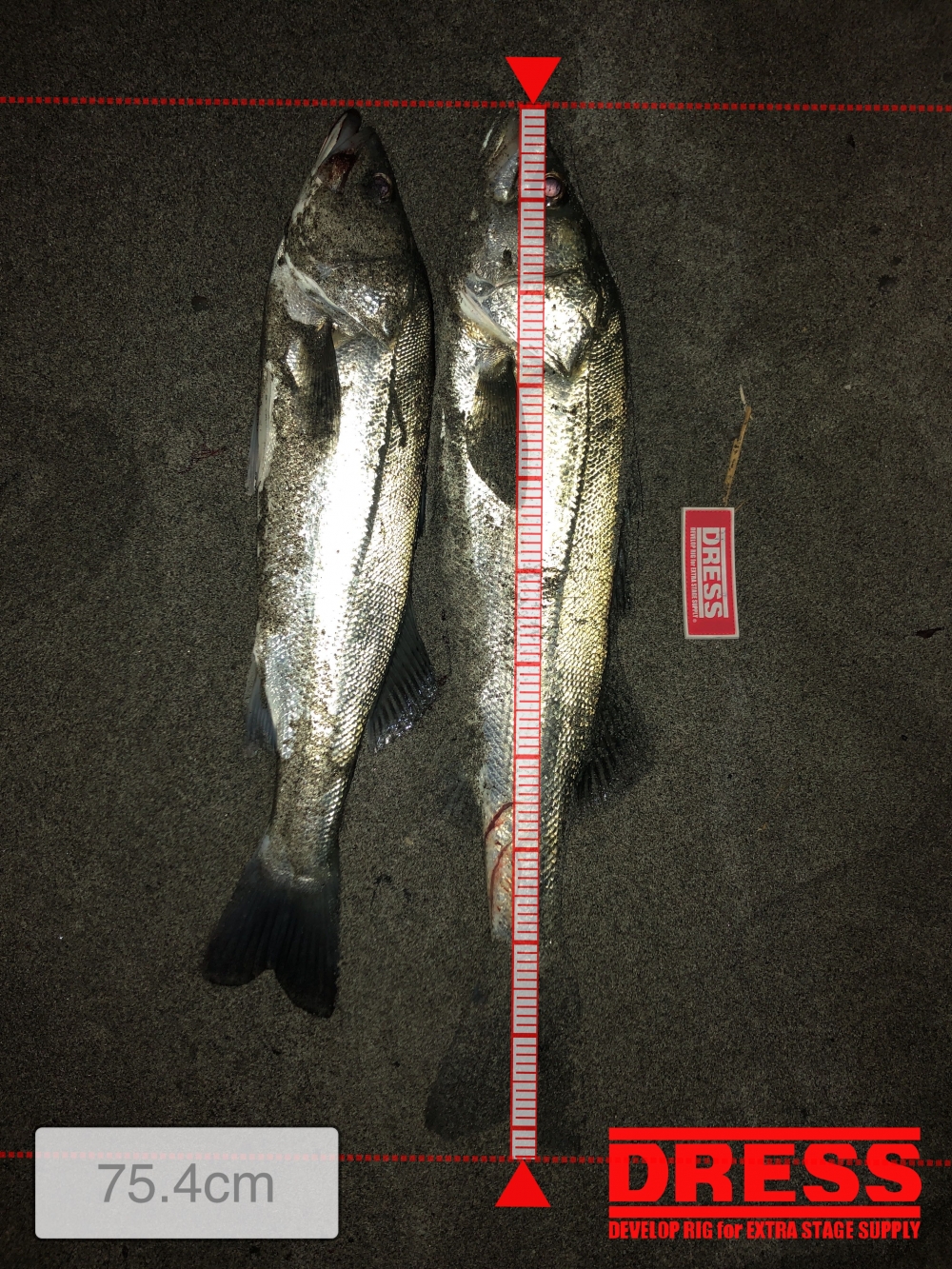 0_5554_803b06aaf707bed8d451fd83d58dc791