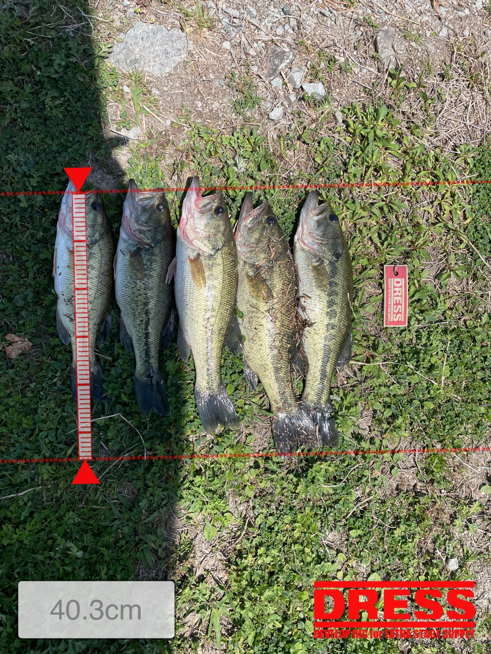 0_5579_ead0640a8aa422f8e9e4ea6ca5cc7222