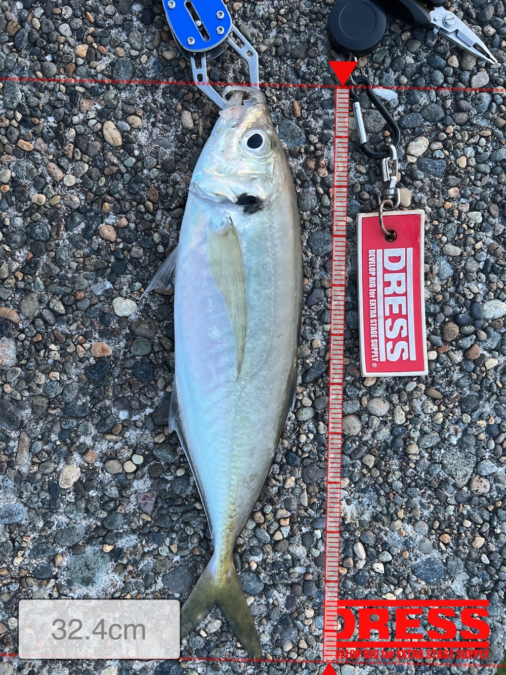 0_5580_8eb9f28383d9d5fc9ea86b5125c1f00a