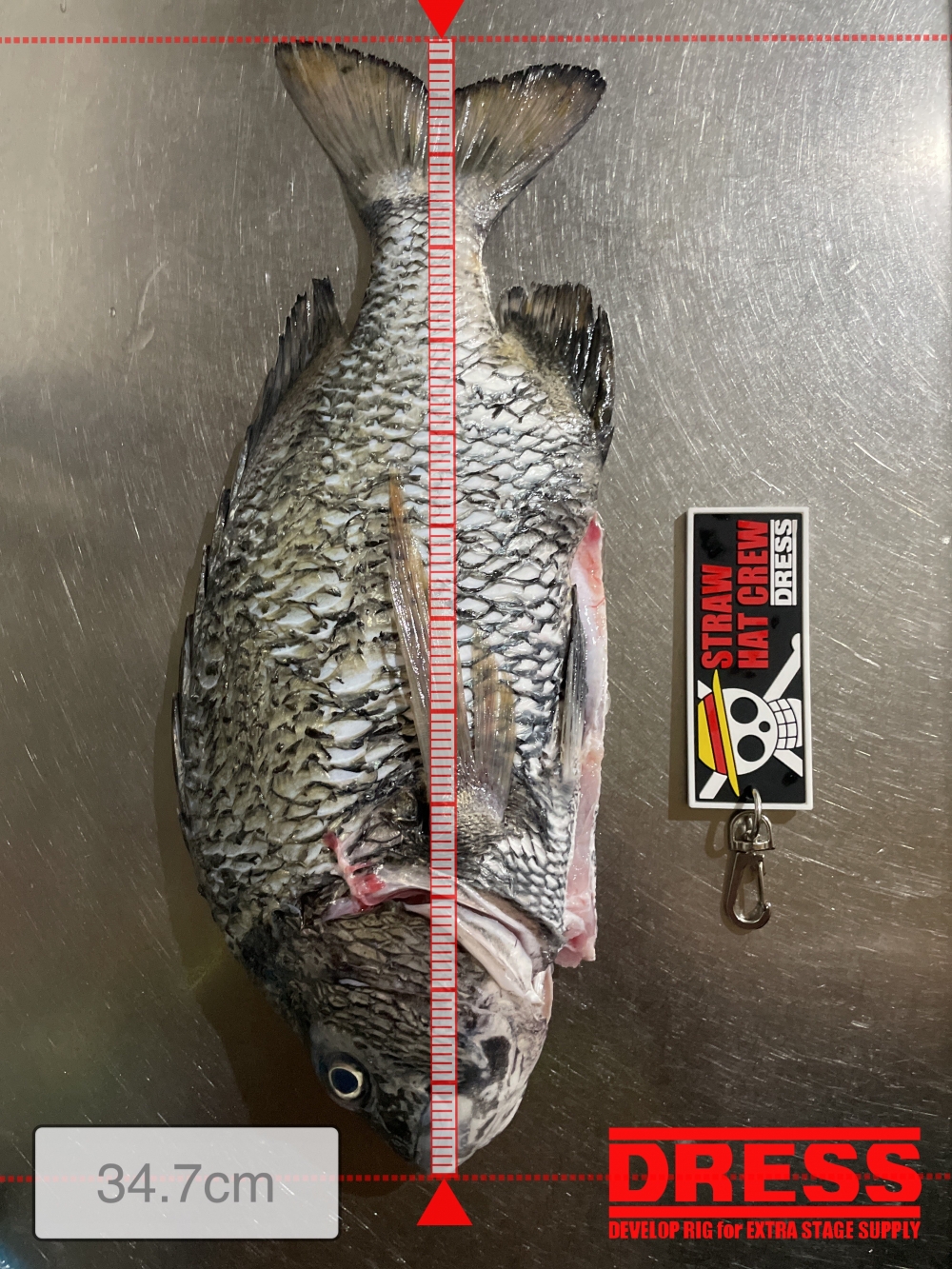 0_5584_e1efbc14069be71610f75e94838348fc