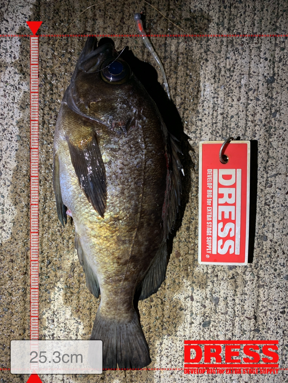 0_5586_babf40a53045650b4f0b956f796d0839