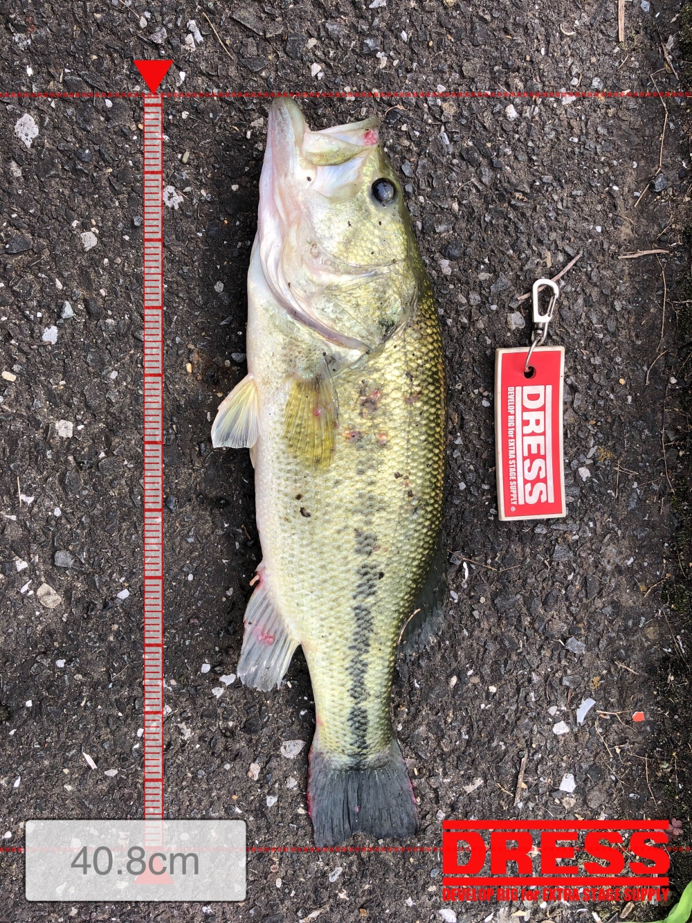 0_5634_e38e61c3afb0482b658039c7fd56b674