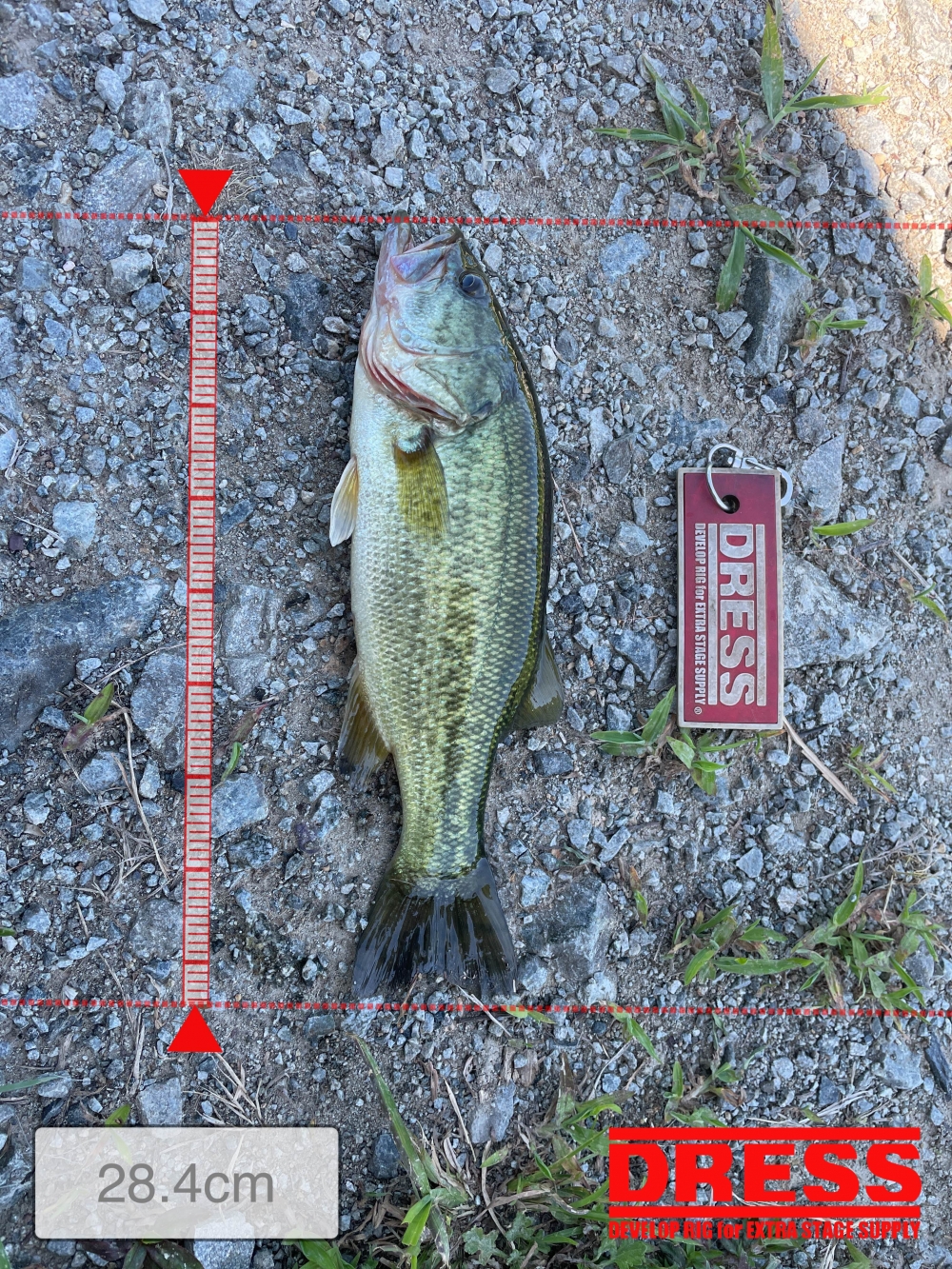 0_5641_09e622b6cdf9d1929f523ad2198610bc