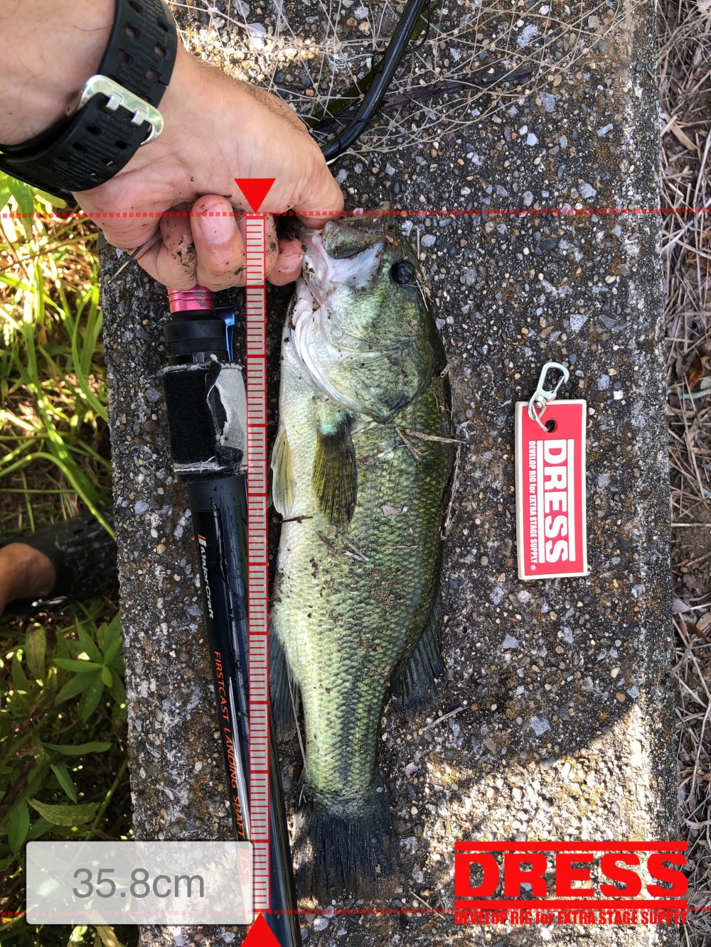 0_5642_51e8e06e10962470a344a6c5863bbbbf