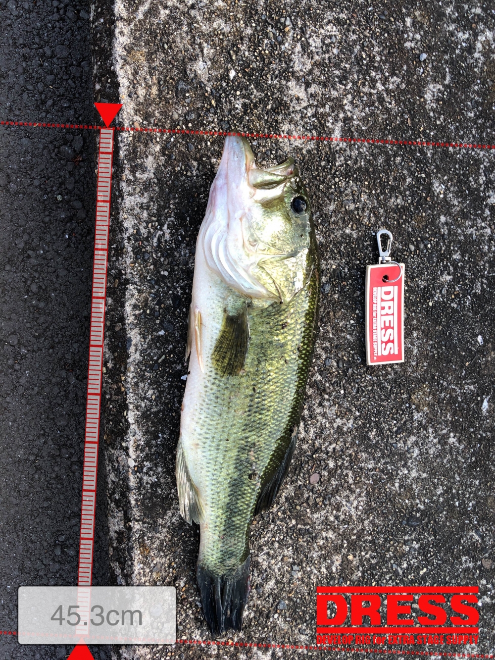 0_5643_e11be35f25db8e2b2fd3ae6eb654f024