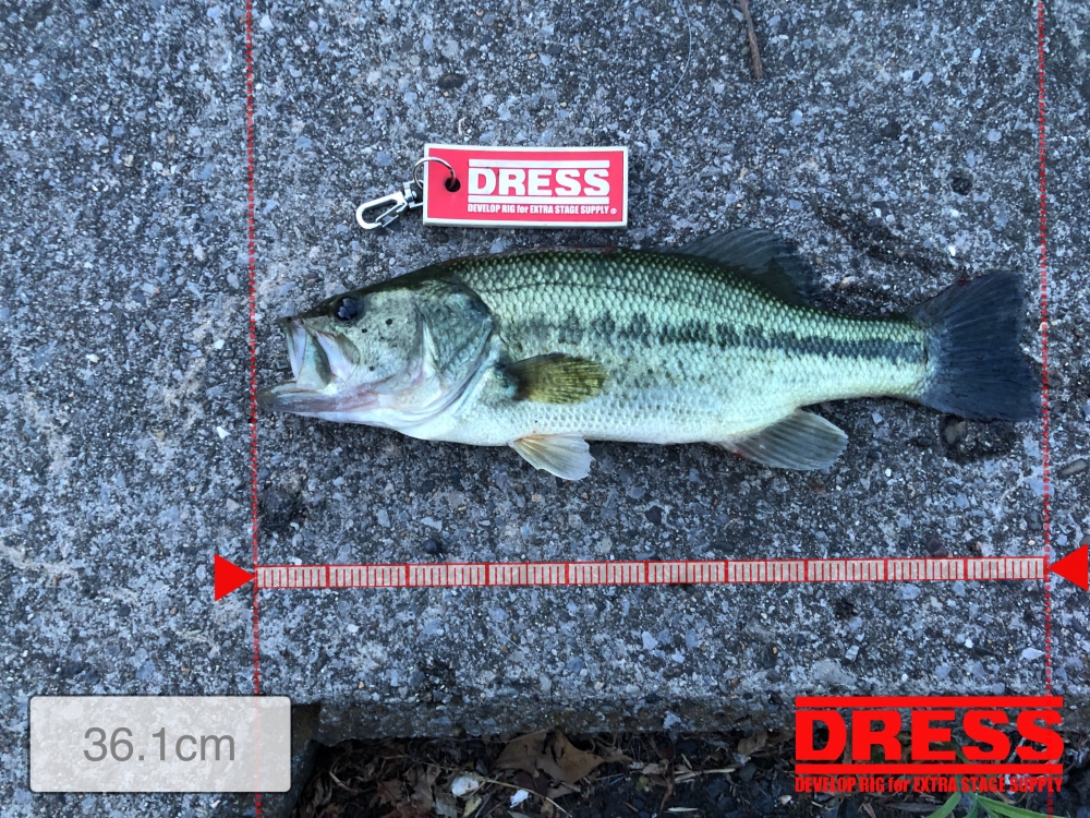 0_5646_918c3ac354e010649fff556e0af5c579