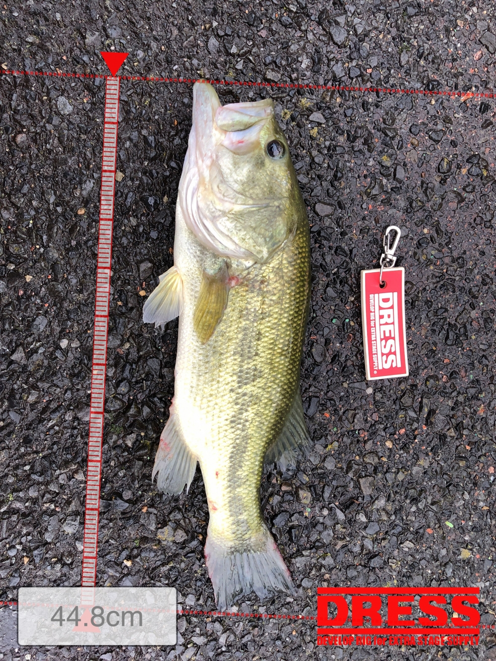 0_5648_a3459f903ad91d09cf30ef596718e401