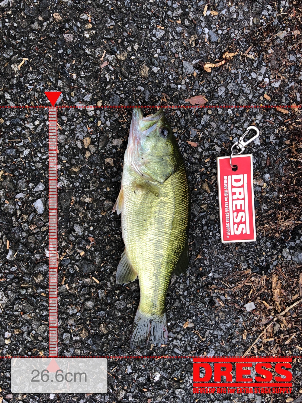 0_5665_ccd303d945a9356535db3dd16386f7aa