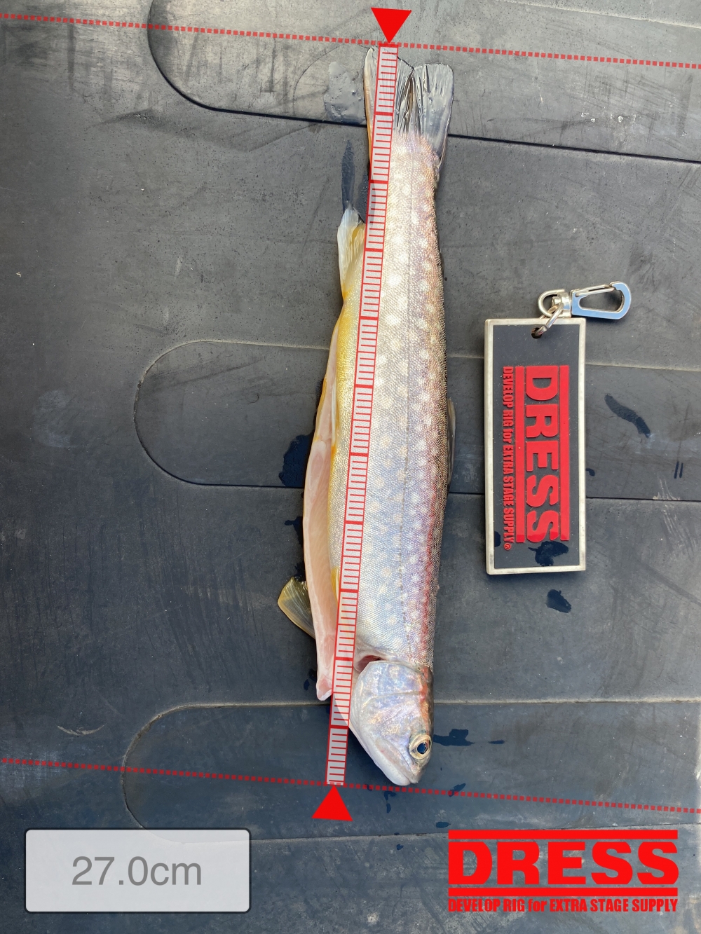 0_5667_df89a8b5046b607d6ee263e231b6df63