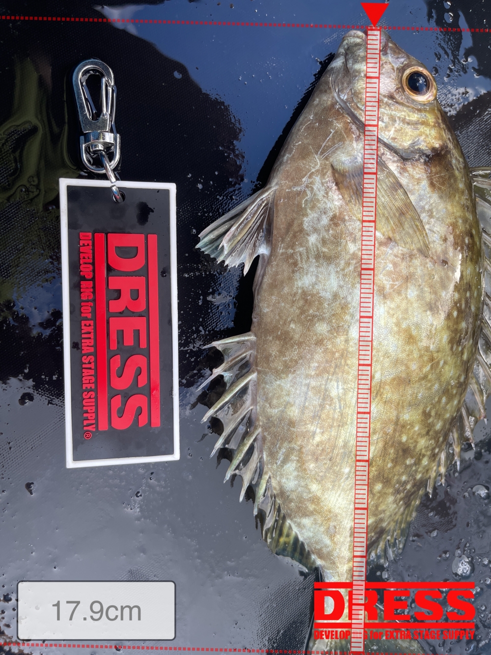 0_5669_66618979ca18a8be08810f57827e5591