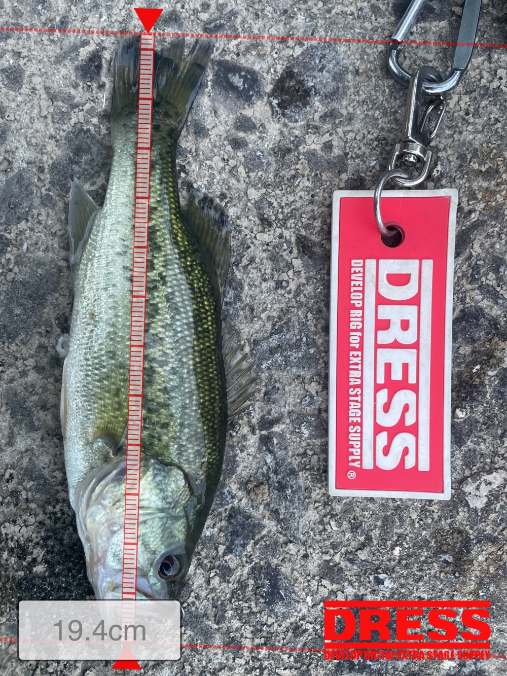 0_5675_8345a60e0b70c59144b8d83a92a960ed