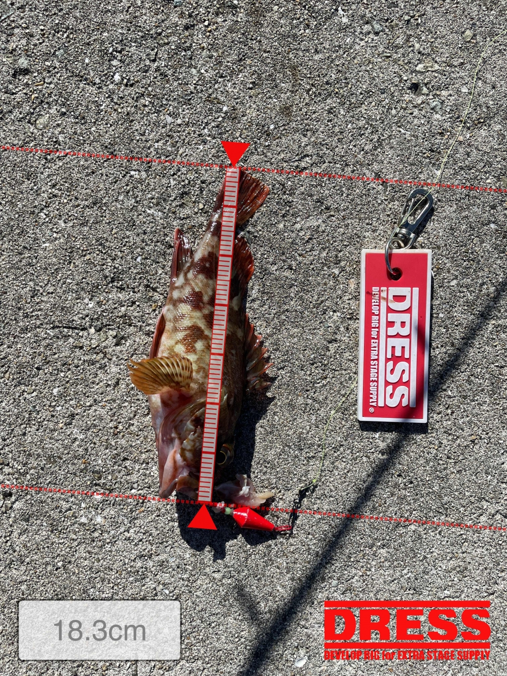 0_5676_fc0360629b796e5384f225a92bd36a10