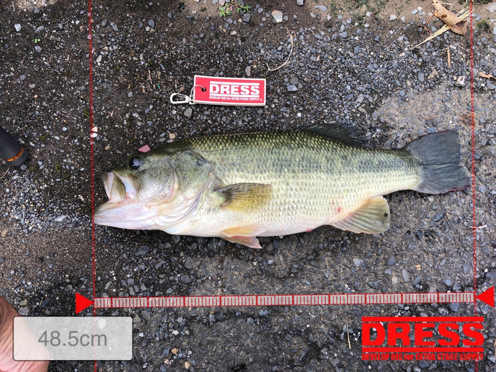 0_5679_ebd2f13f2ca4ed5ea6040e341b7e56aa