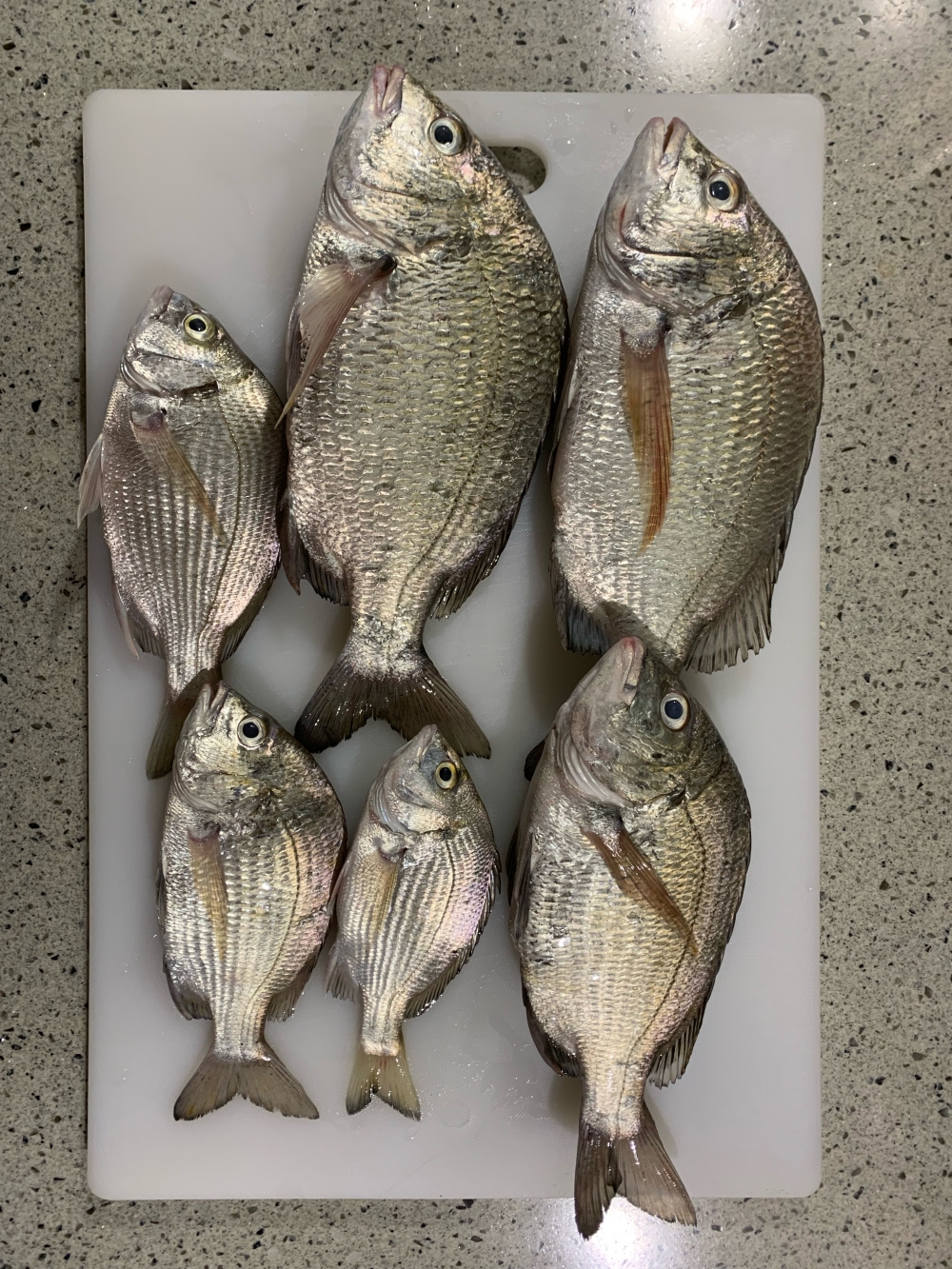 0_5680_a445be3e61f1ed29ac51821d26c984f2