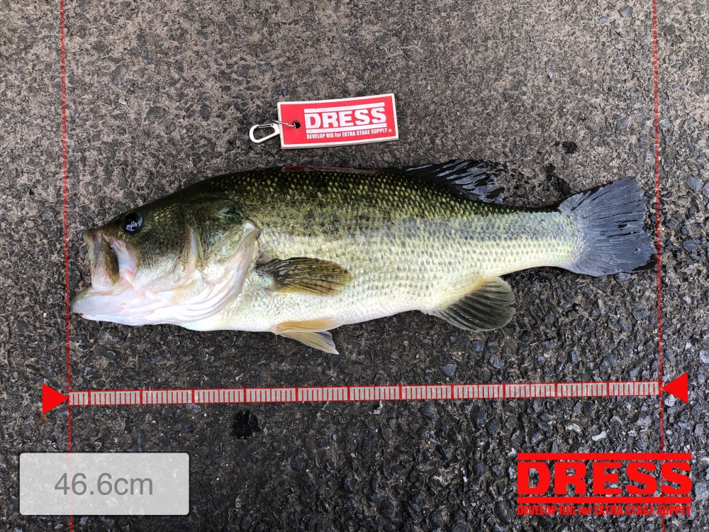 0_5685_63d68486d293453f9774cf789fdee292