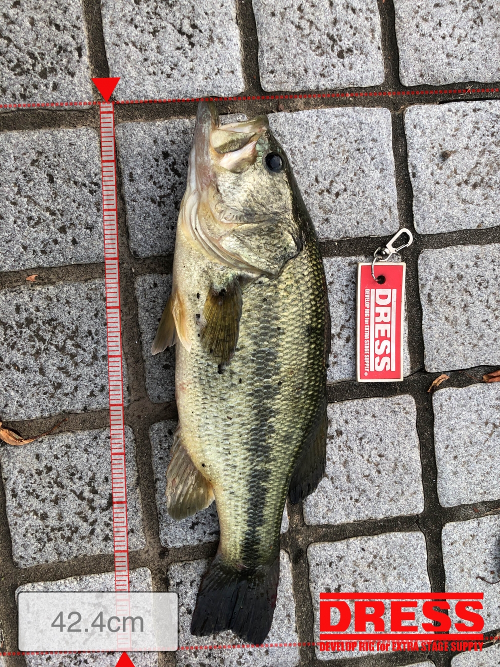 0_5695_3e65648c25a1bd810c8f7c2f78198c9b