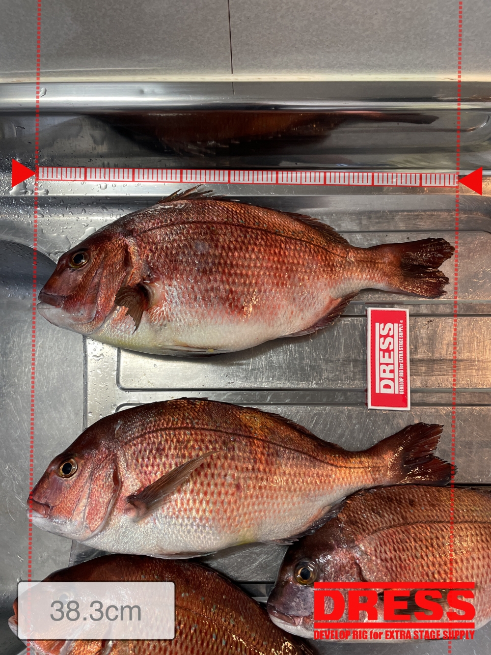 0_5707_06422c5ed0170a3fb9a0338d5c8ec771