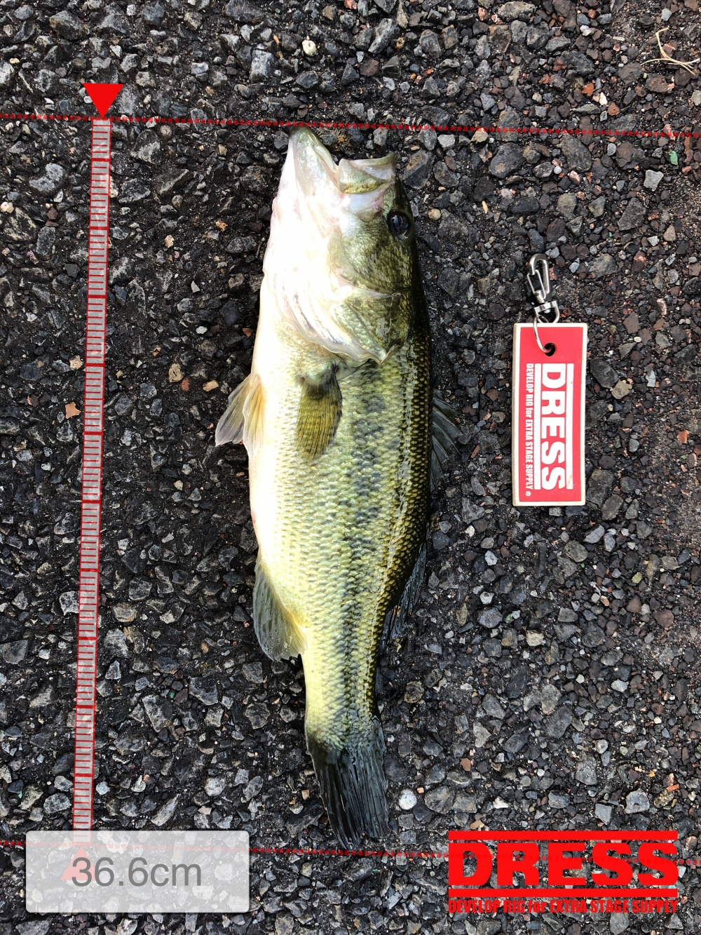 0_5726_92e2c6941e5544850a230179ce61f1fb