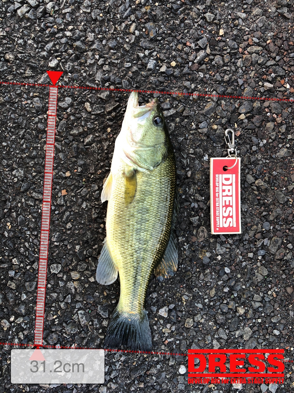 0_5727_46b0ea1d10804185025fd309a119871b