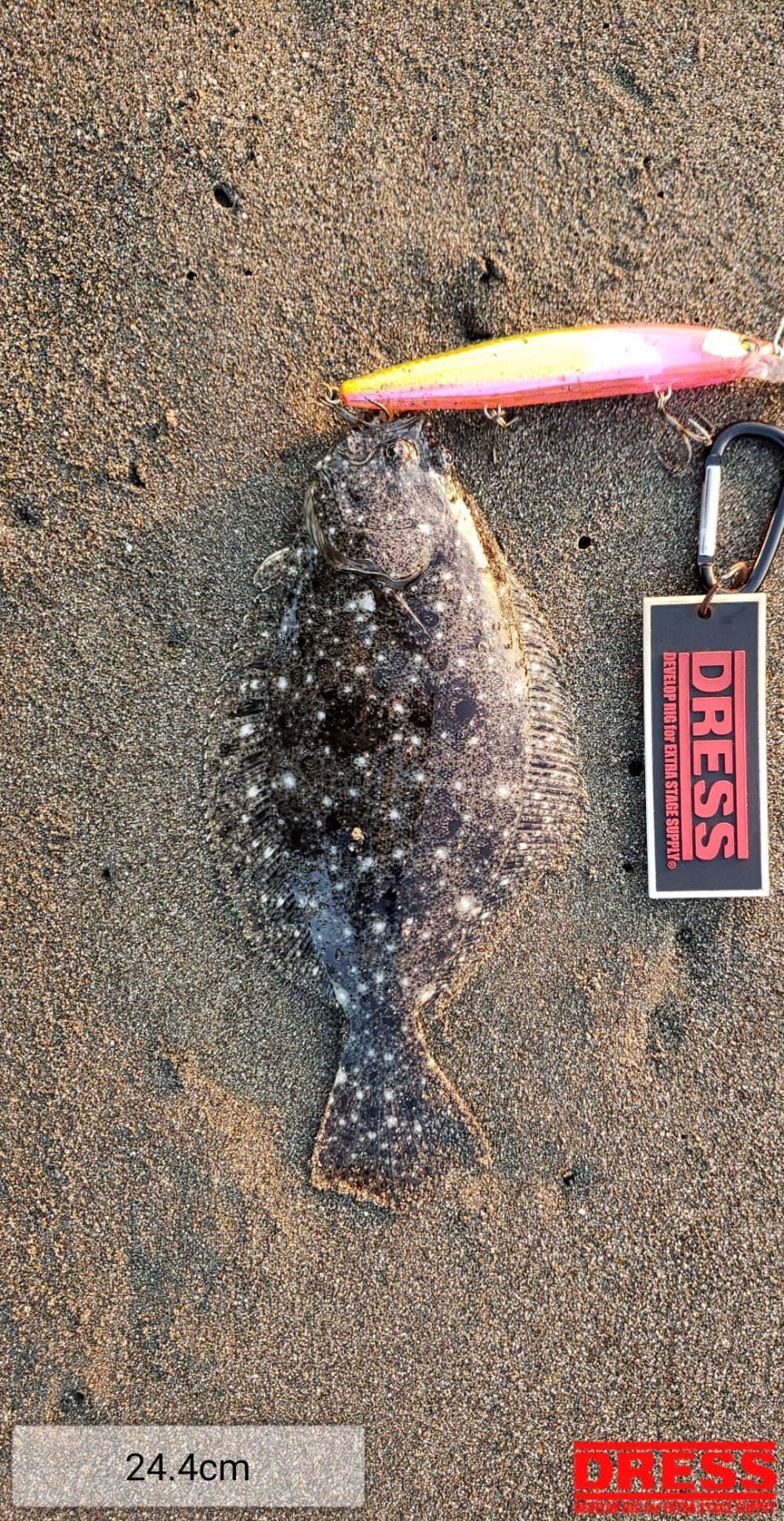 0_5733_3527556dce103e3c55375201e58ebec6