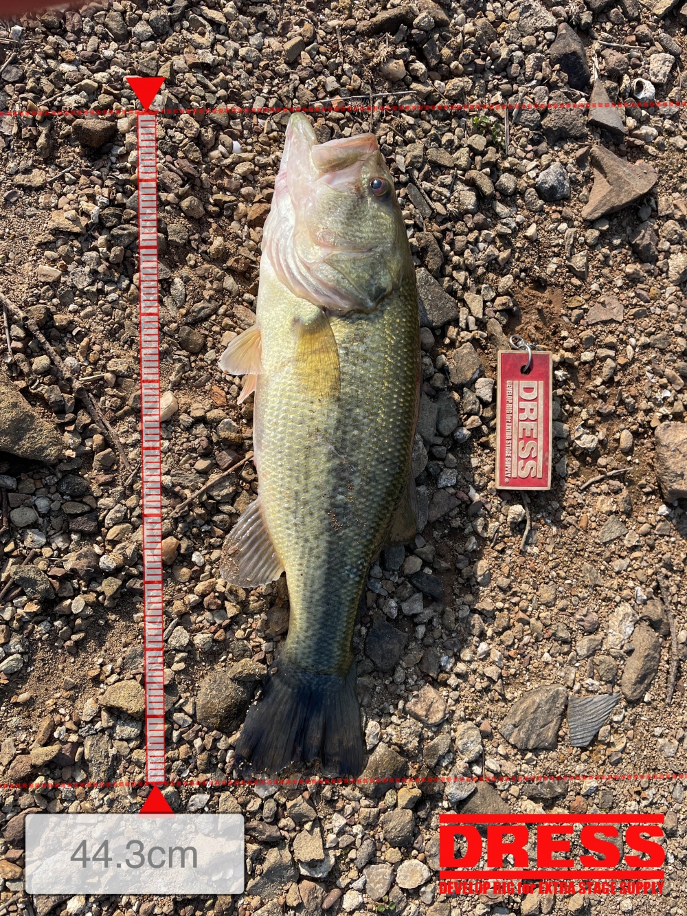 0_5760_6e56fb27c8e0d412c98a3a31927bb6e1