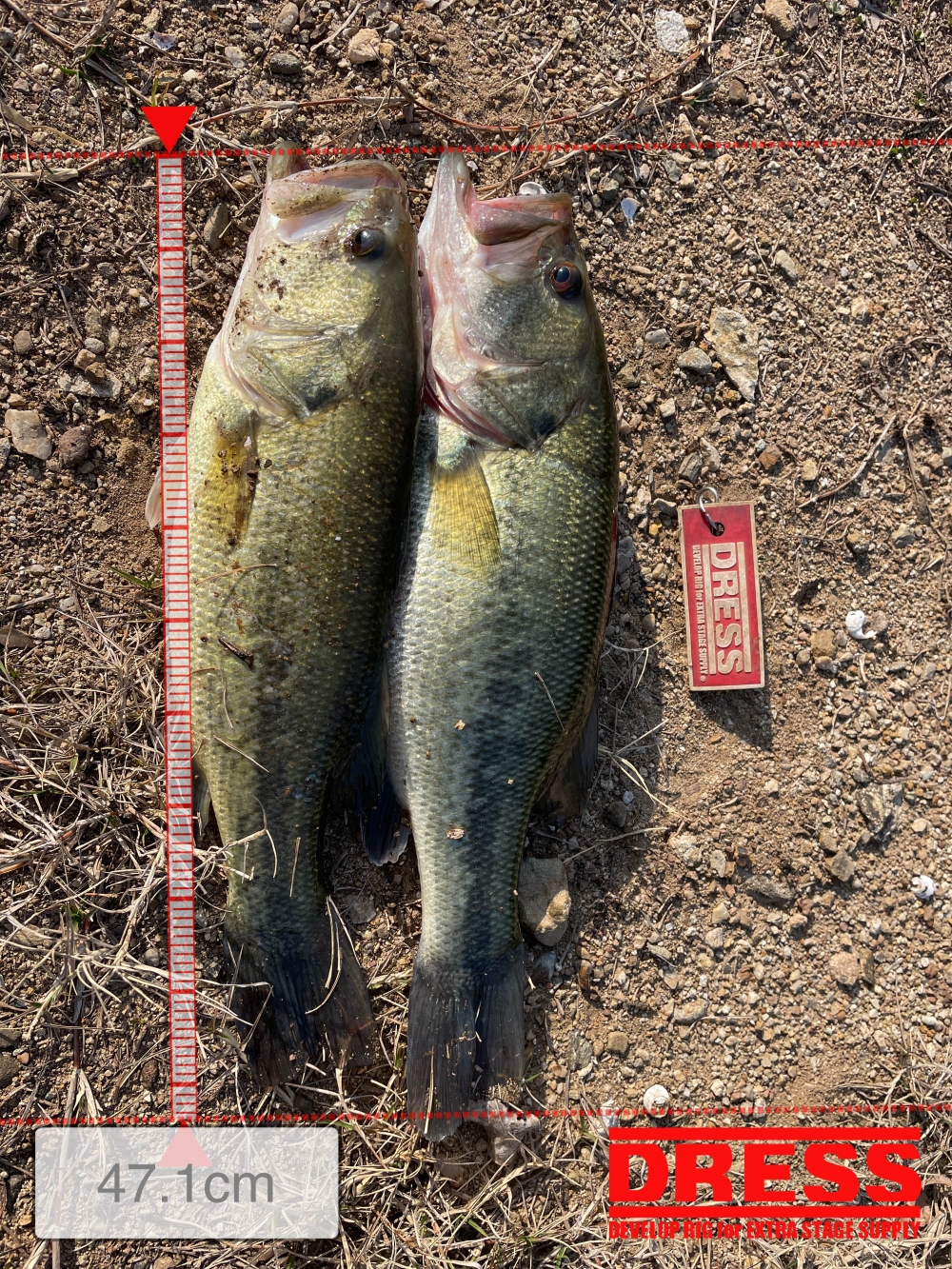 0_5761_84249cbdbd9b30d62cd0b5b01d83d31b