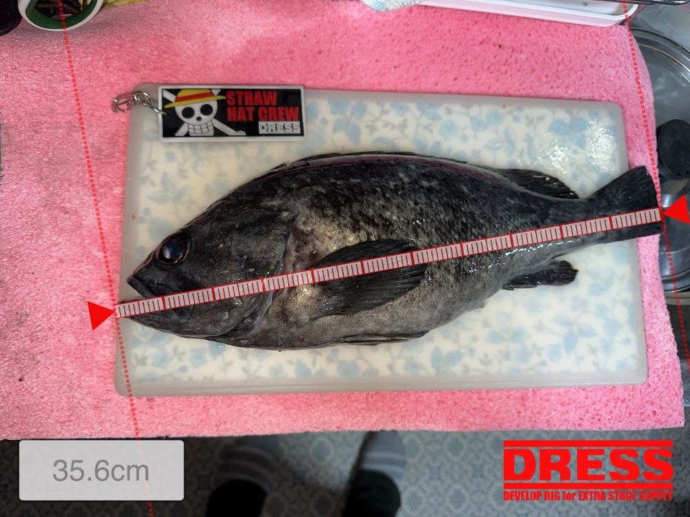 0_5764_64cc782fa4b18565e785c761da722268