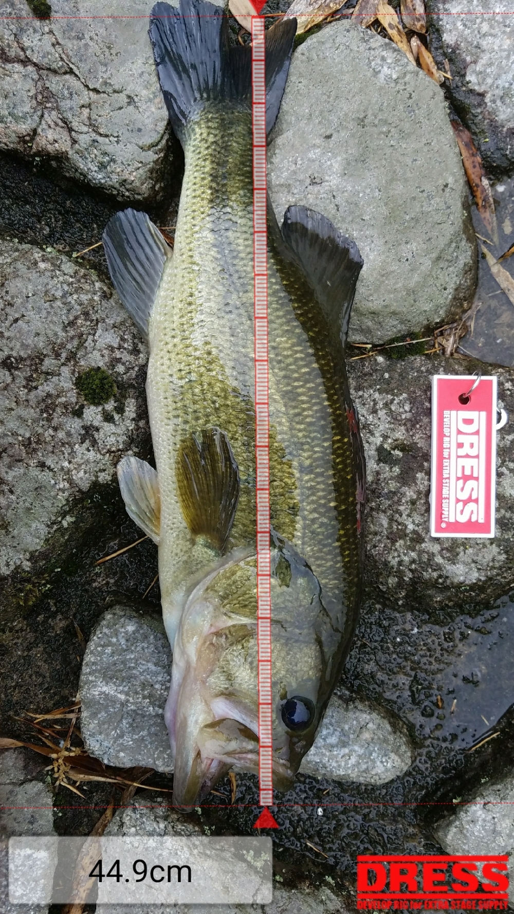 0_860_8a716d322e0ee4003312bf4df52bb8f7