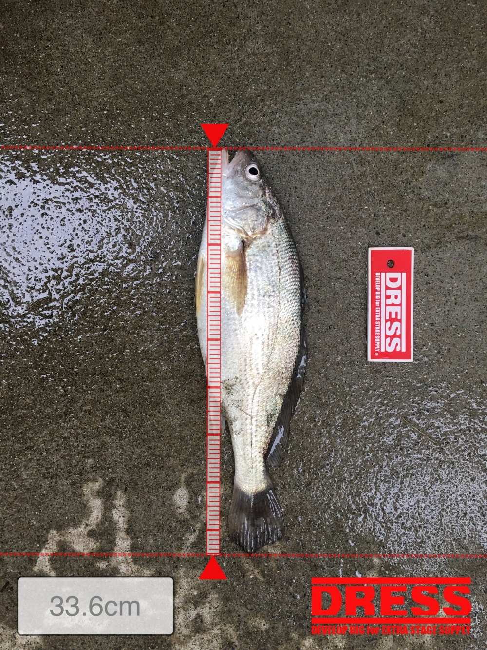 0_868_4033601aab75656d0dd9e4adfa13f008