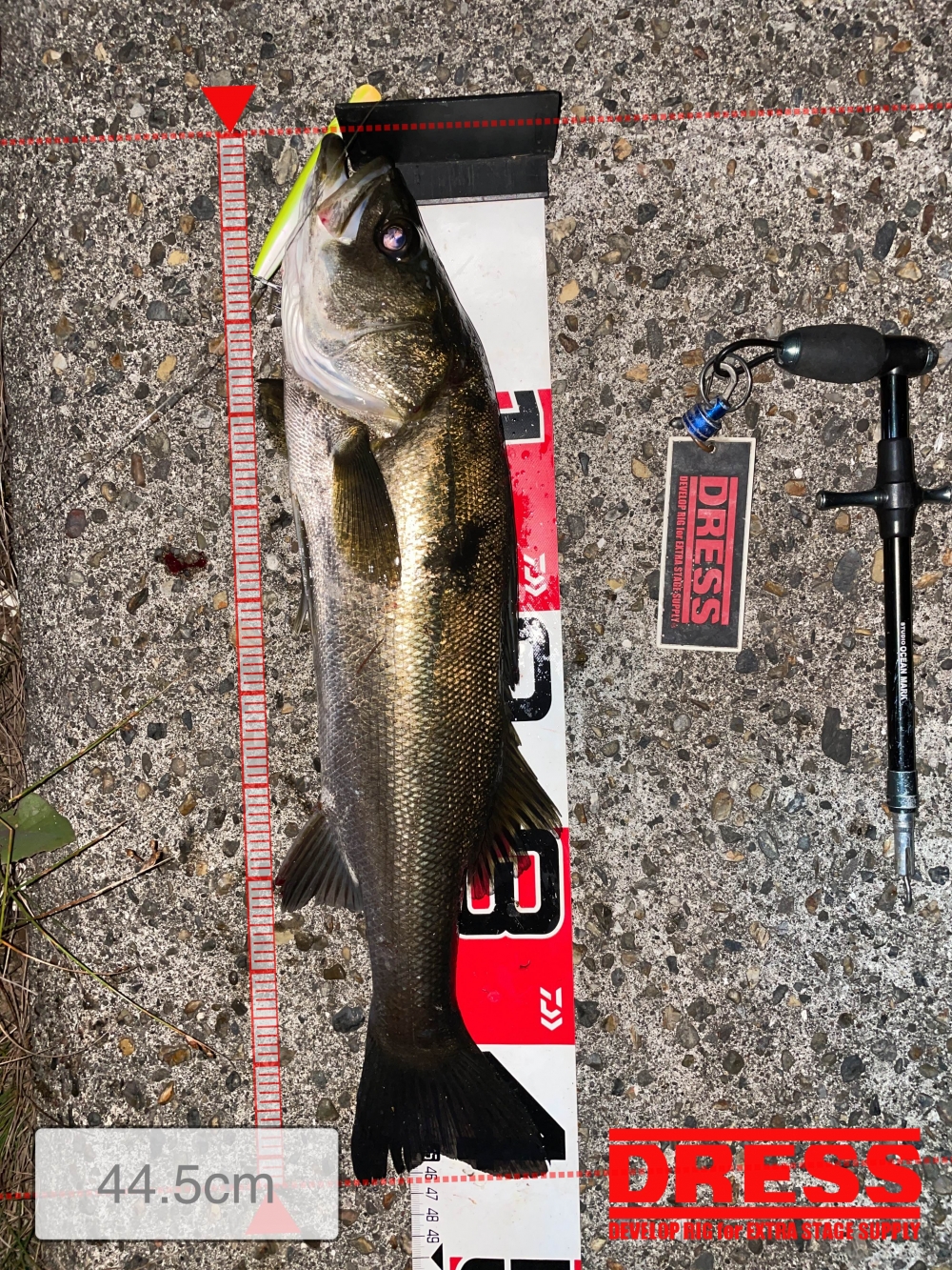 10024_0_0b5141f8df5f6e1ab3382eaa6bcc06e6