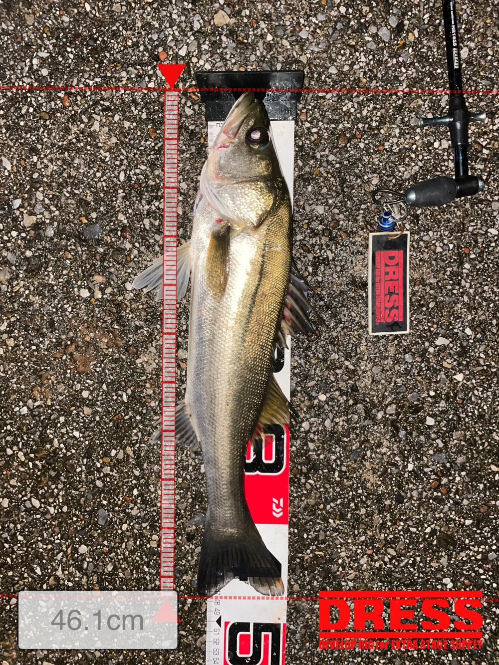 10024_0_0f0e8931690df68a23ba37524adfe5ea