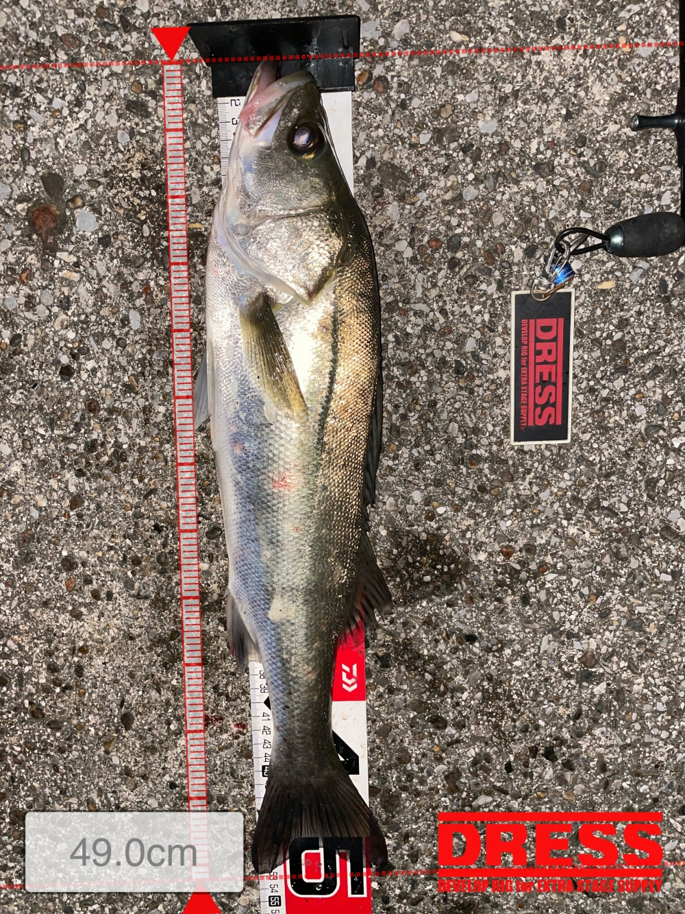 10024_0_162f3e2fd92bcee0eea2d9f2c5c8e98c