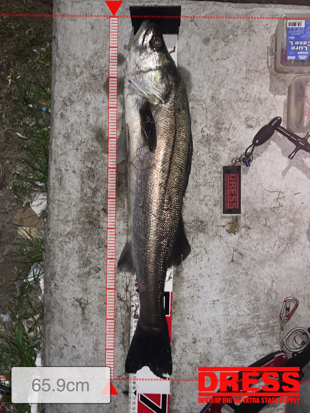 10024_0_16cc070b639cc3d70b992388736d7935