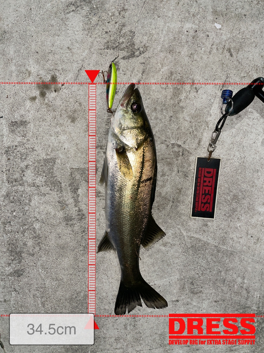 10024_0_1ac720999ddf0eda798577b3be9c65ea