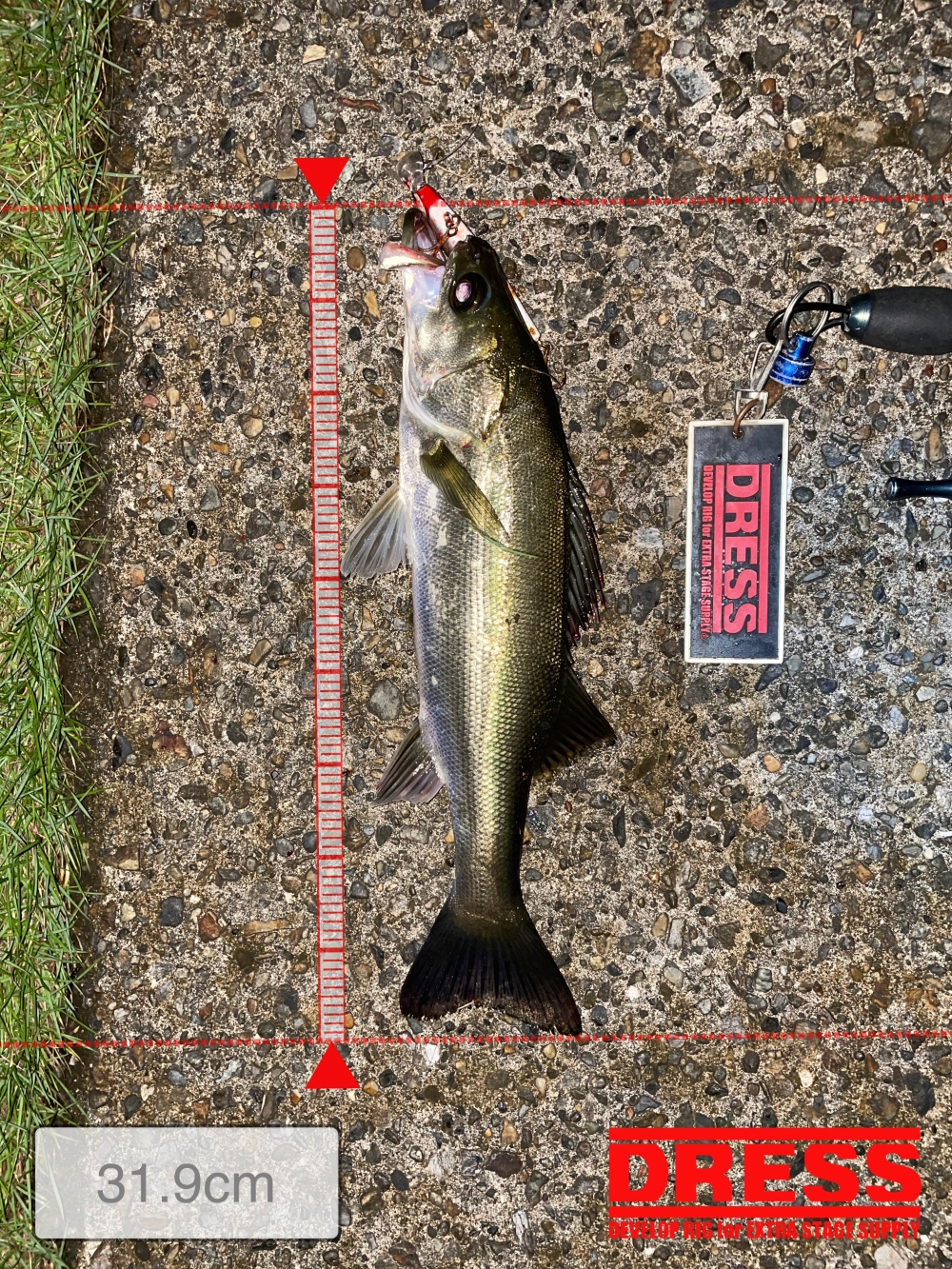 10024_0_229fd2be654f97e3ac34d9a4d2ba80aa