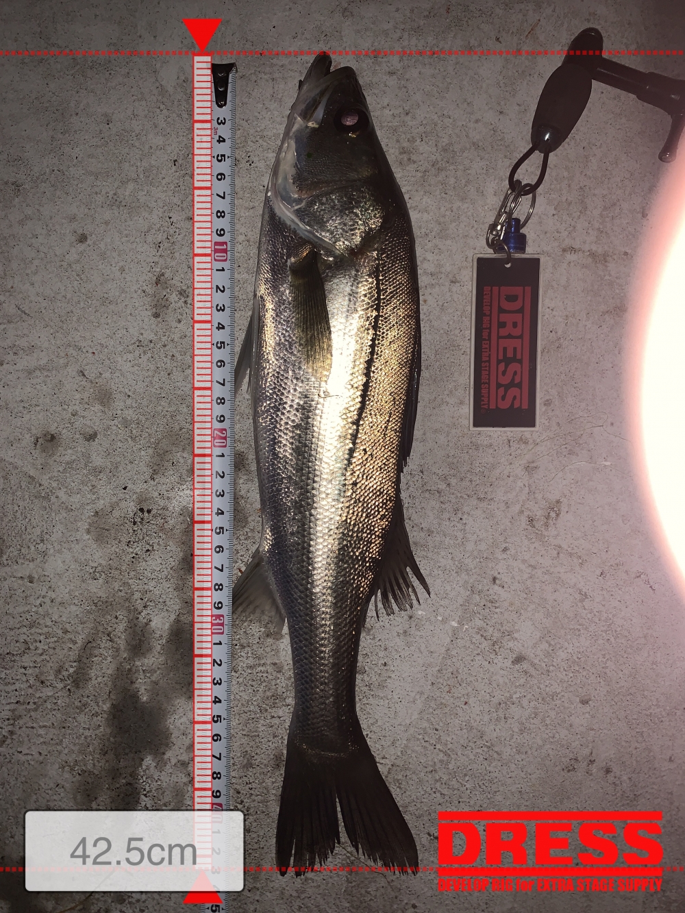 10024_0_2327e43147c5d27c703d989f9ea645ec