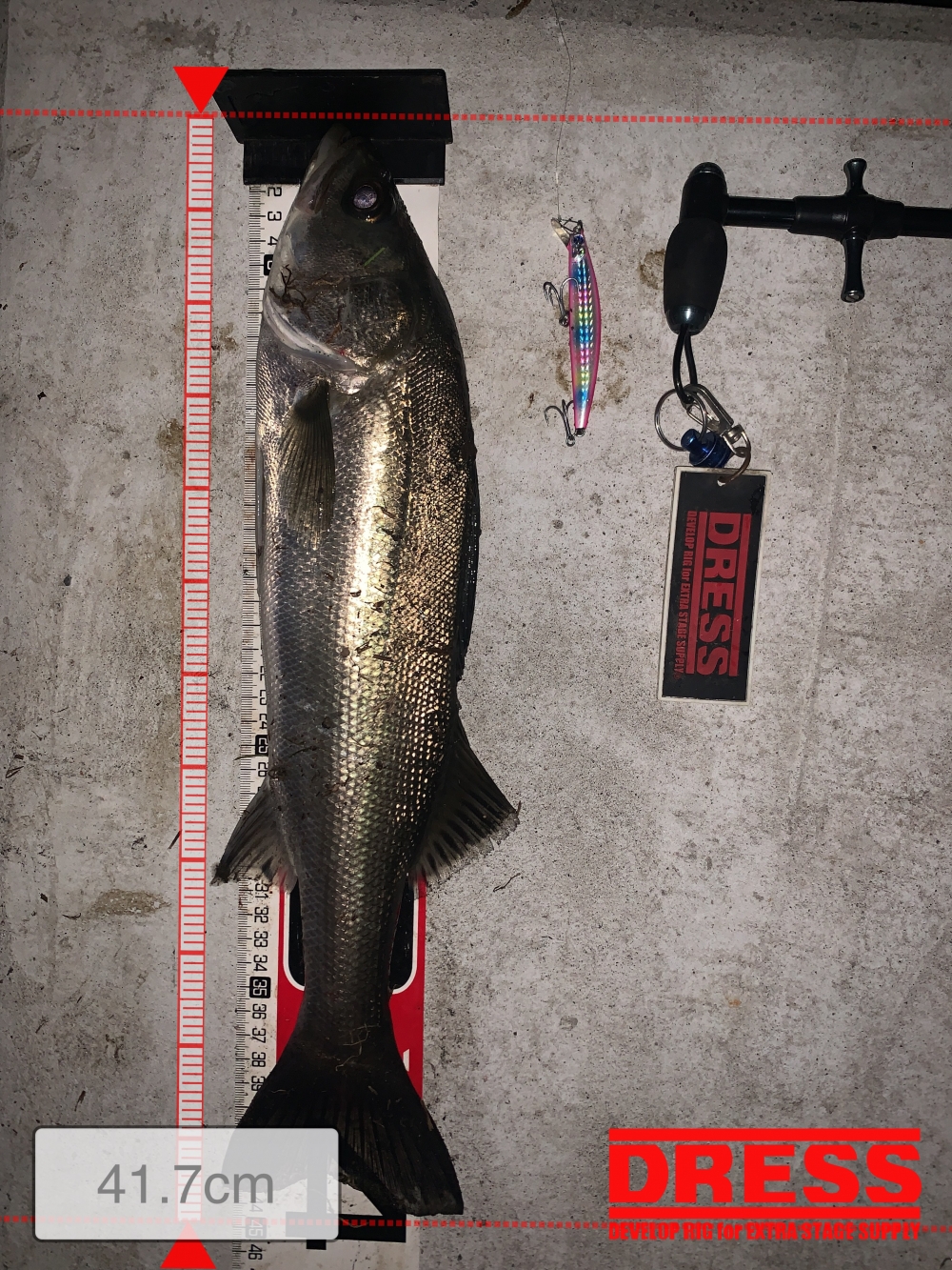 10024_0_489527f978b990431855380a2d4ccae9