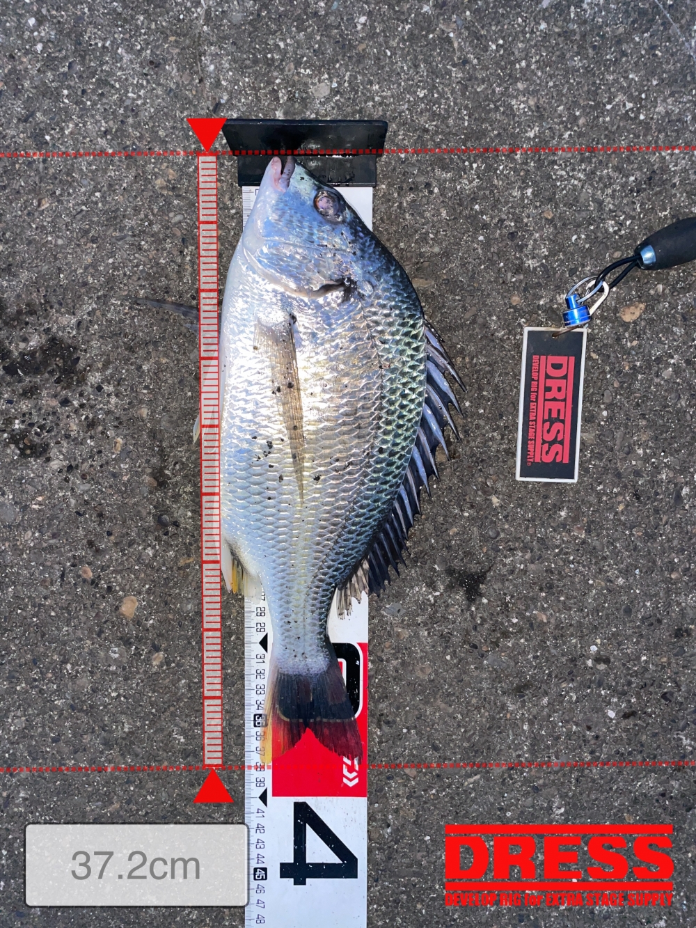 10024_0_50323ad581479ea5d64f8f91b4a77921