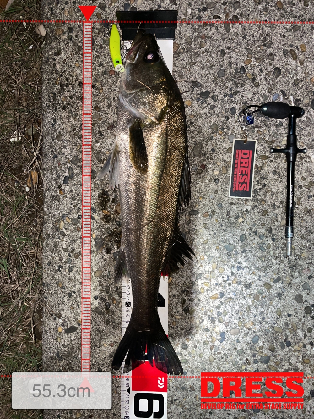 10024_0_560c80975ee015cc065704b6d7c5cd3a